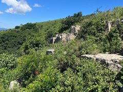 -白河堡水库