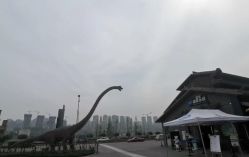 -恐龙探索乐园(磁器口店)