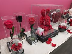 -ROSEONLY诺誓(沈阳万象城店)