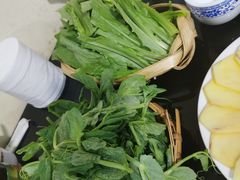 豌豆尖-藏味八珍特色火锅