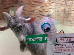 -正佳雨林生态植物园