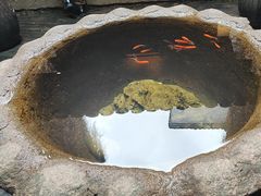 -31号公馆(黄兴广场白果园店)