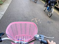 -贵阳市花溪国家城市湿地公园