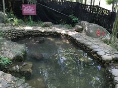 -山沟沟景区