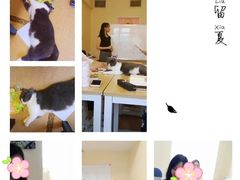 -猫音日语留学培训