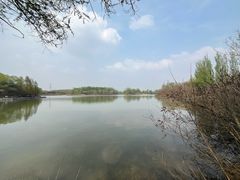 -翠湖国家城市湿地公园