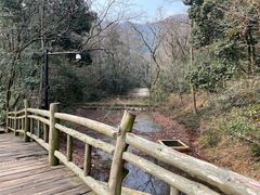 -杭州半山国家森林公园