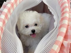 -comecome来吧宠物(奥克斯中心店)