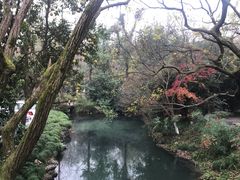 景观位-知味观·味庄(杨公堤店)