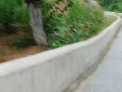 -十渡高山漂流