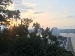 -野狸岛
