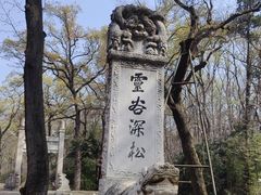 -灵谷景区