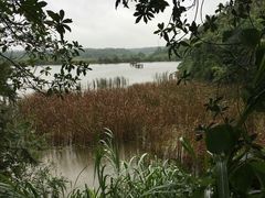 -象山森林公园