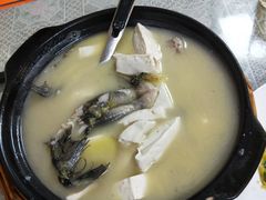 昂公鱼豆腐汤-鑫福楼农家菜