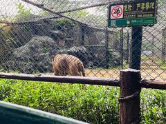 -海南热带野生动植物园