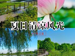 -会仙湿地