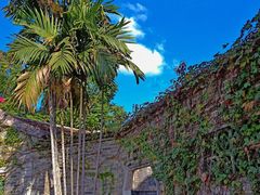 -东莞市可园博物馆