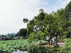 -无锡蠡湖国家湿地公园-蠡园