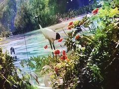 -中国湿地博物馆