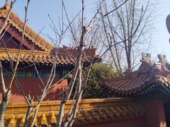 -戏马台景区