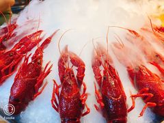 -阿甘龙虾·重庆麻麻鱼(中豪店)