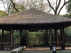-上海方塔园
