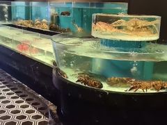 -许家菜.艺创菜(仁和新城店)