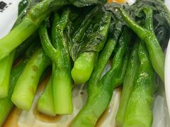 -富豪酒家(正大广场店)