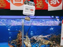 -盒马鲜生(皇庭广场店)