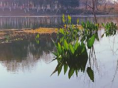-森林公园(地铁站)