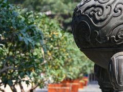 -颐和园