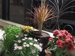 -冰冰龙虾·江湖菜·花园江景餐厅