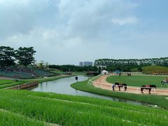 -迪茵湖田家舍生态农场