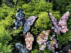 -上海共青森林公园