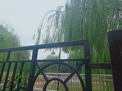 -黄村公园