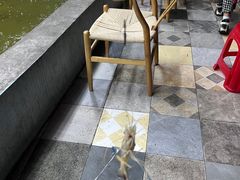 -光头佬室内钓虾场·烧烤·团建·亲子(中山八路店)