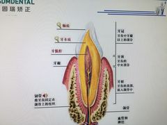 -固瑞齿科(国贸门诊店)