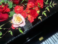 -Flower in(密渡桥店)