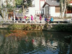 -龙潭水乡