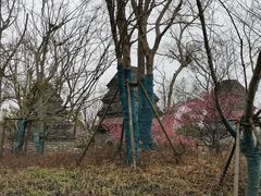 -广富林郊野公园