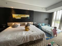-常州环球恐龙城维景国际大酒店