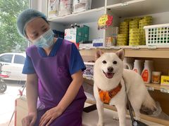 -宠福鑫康馨动物医院·骨科·眼科