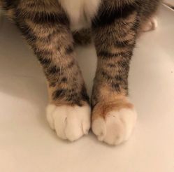 -Kraemer Paris  苏豪路易士·嘉玛发廊