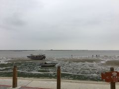 -北海金海湾红树林生态旅游区