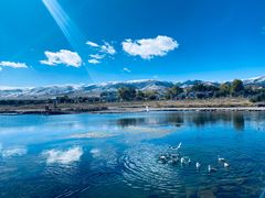 -青海湖国家重点风景名胜区