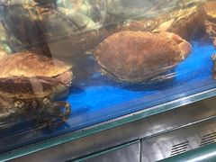 -长申超市(美食城店)