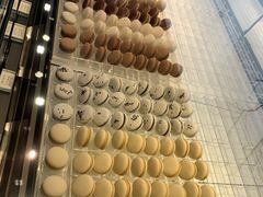 -BLACKSWAN黑天鹅(环球店)