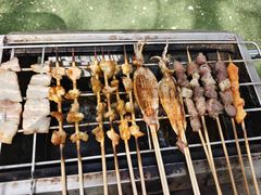 -尚庄度假村·庭台树下·户外烧烤·团建CS·轰趴营地(上庄水库店)