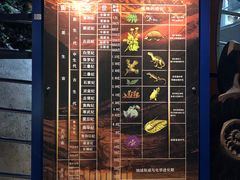-河南自然博物馆