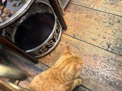 -肥仔文澳门猪骨煲(南京西路店)